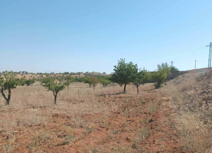 Screenshot 2026-05-31 204920 Farmland