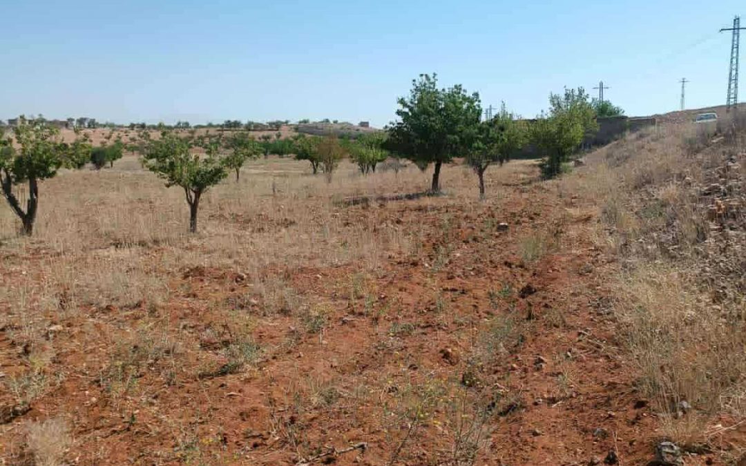 Life Giving Well for Irrigation and Drinking Water